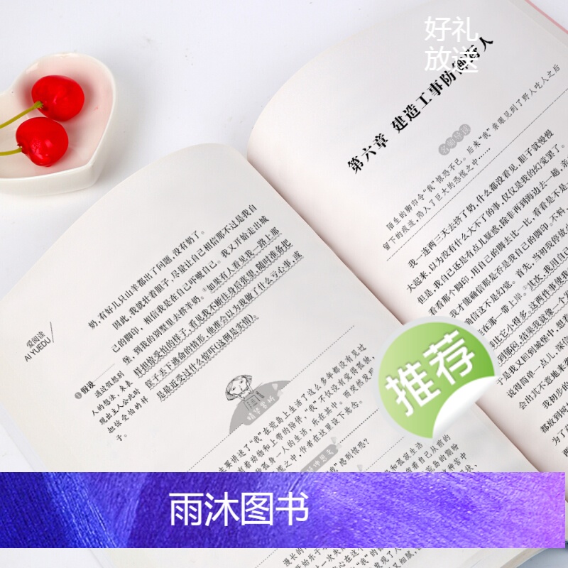 [六年级选读]在人间 [正版]鲁滨逊漂流记原著完整版六年级下册必读的课外阅读书藉单本青少年版天地出版社人教版鲁滨孙汉鲁冰高清大图