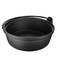 爱仕达 汤锅 铸铁24cm 双耳生铁煲汤/炖煮锅/煎锅大容量TF24V1WG 燃气明火专用