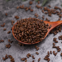 京荟堂决明子280g 干净无杂质 泡茶