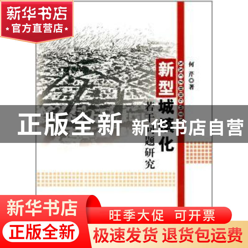 正版 新型城镇化若干问题研究 何芹 著 水利水电出版社 978751705