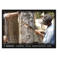 飞鹤 多功能防护靴 (S) 高筒靴 雨鞋 雨靴 高筒靴 40-48码 10双/箱 计量单位:箱