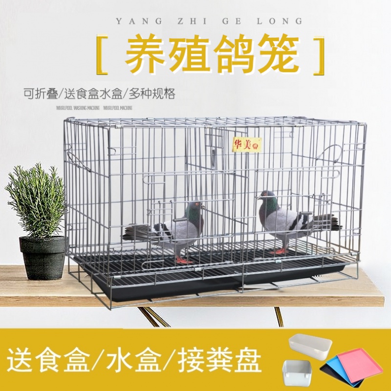鸽子笼子家用配对笼清仓鸟笼养殖笼大型繁殖对笼巢箱小型便携鸽笼高清大图