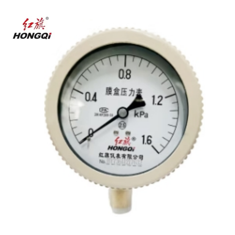 膜盒压力表定制检测款YE100