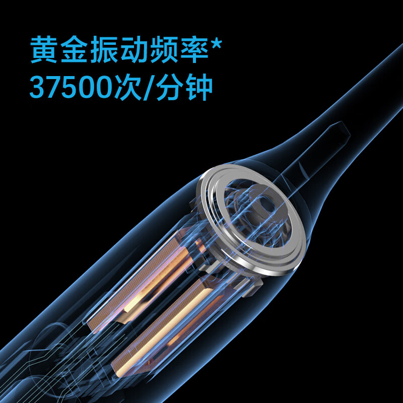 飞科 电动牙刷FT7105深海蓝[标配2支刷头]+豪华旅行盒声波震动牙刷高清大图