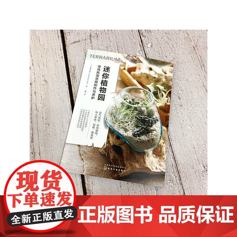 迷你植物园:玻璃瓶微景观制作与养护正版书籍图片
