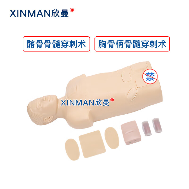 欣曼科教 骨髓穿刺模拟人 骨髓穿刺训练模型 医学教学人体模型XM-1011高清大图