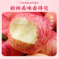 [五个农民]22年新果 陕西洛川苹果红富士礼盒12枚/5斤 单果80-85mm/200g+ 当季新鲜水果生鲜 顺丰速运p