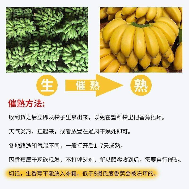 [熊猫鸟]西贡香蕉 净重5斤 箱装 新鲜当季水果 香甜软糯 孕妇宝宝辅食高清大图