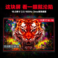 机械革命(MECHREVO)蛟龙16 Pro 16英寸电竞游戏本笔记本电脑(全新锐龙R7-7745HX 16G内存 512G固态 RTX4060 8G独 165HZ 2.5K)白