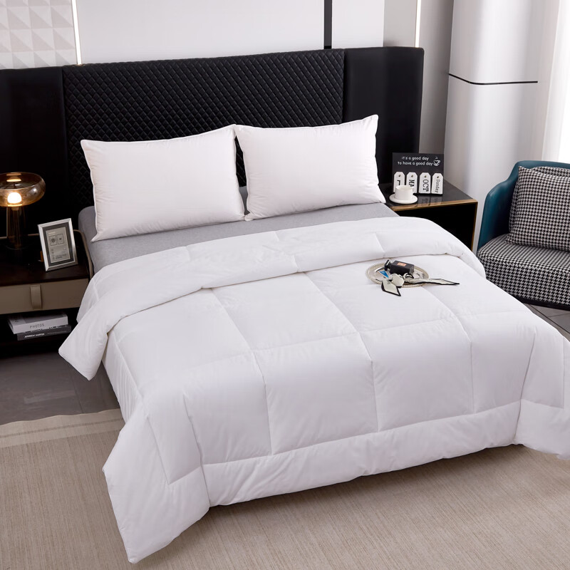 汉司家纺 HANSI-54 全棉防羽布 230*240cm 四季通用被芯 被子 1.00 件/条 (计价单位:条)高清大图