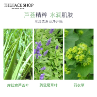 The Face Shop 菲诗小铺 每日草本芦荟泡沫洁面膏170g(洗面奶 洁面乳 有效清洁 舒缓 保湿)