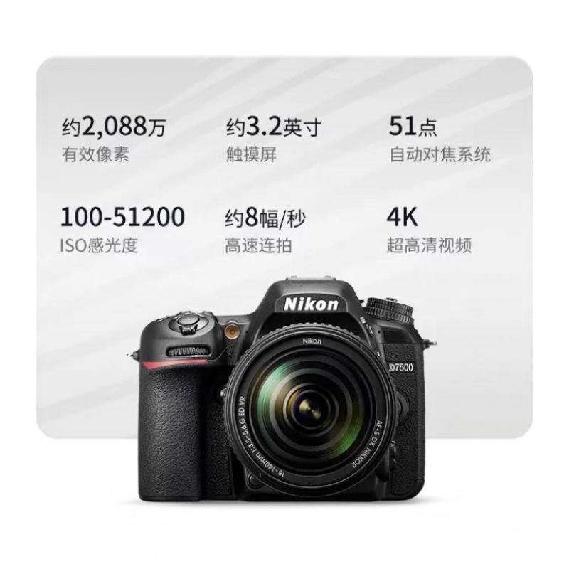 [牙科推荐]尼康D7500+105mm f/2.8G微距+永诺YN14EX环闪光灯套装 牙科昆虫植物近距产品细节镜头高清大图