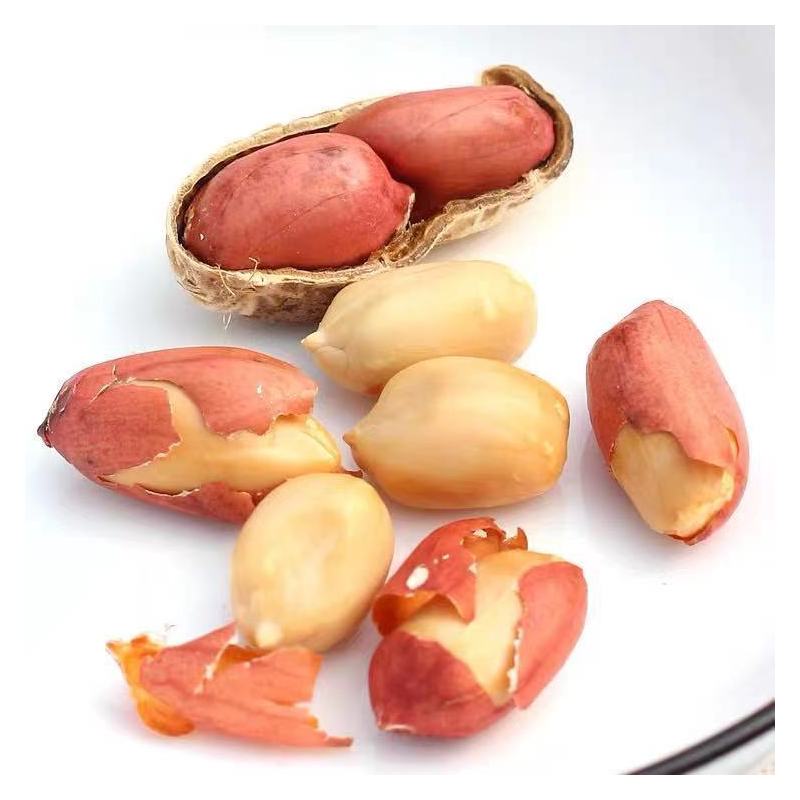 新货炒花生红皮炒熟带壳原味铁锅现炒两粒散装零食下酒菜