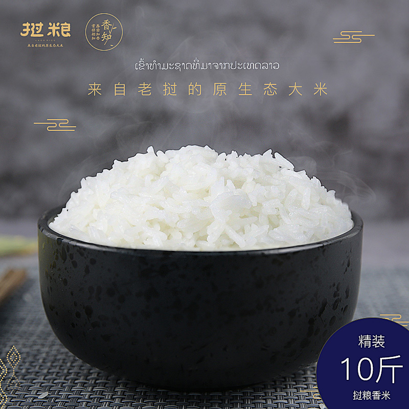 老挝进口挝粮大米一年一季原生态安全绿色香米5kg/10斤儿童有机米