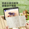 mideer弥鹿昆虫3d立体拼图玩具手工diy儿童益智积木质制拼装模型