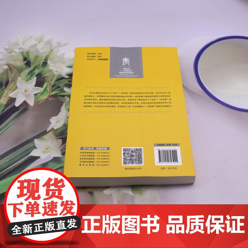 青海省“一优两高”战略评价研究高清大图