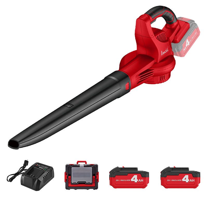 Leecbb 锂电吹风机 L7006 台