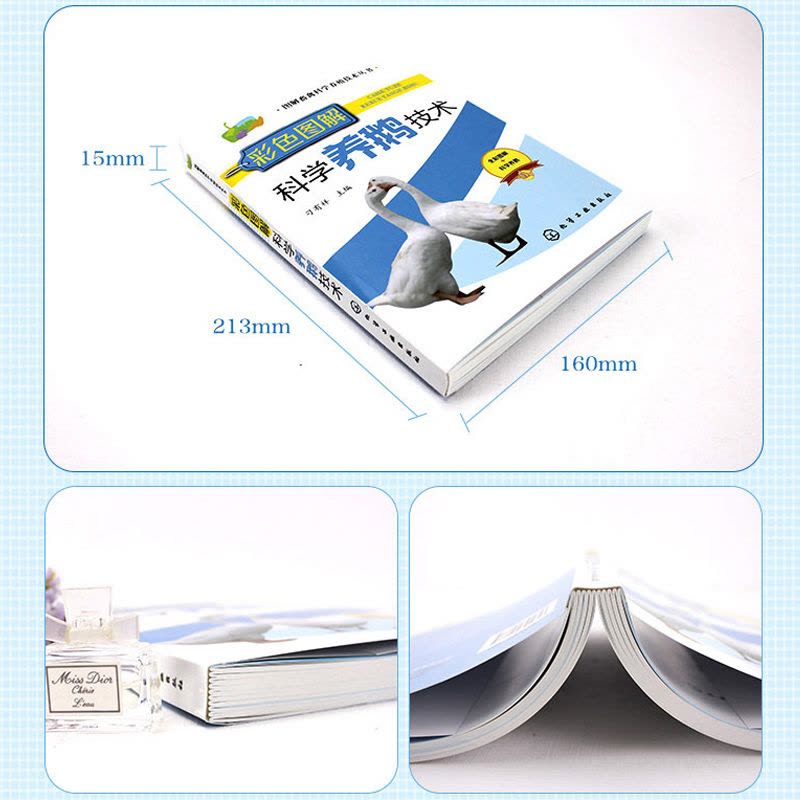 [醉染正版]科学养鹅技术书籍鹅养殖饲料配方养鸡鸭鹅技术书病防治书籍高效养鹅与疾病防治诊断技术大全养殖书籍大全赠养殖视频养图片