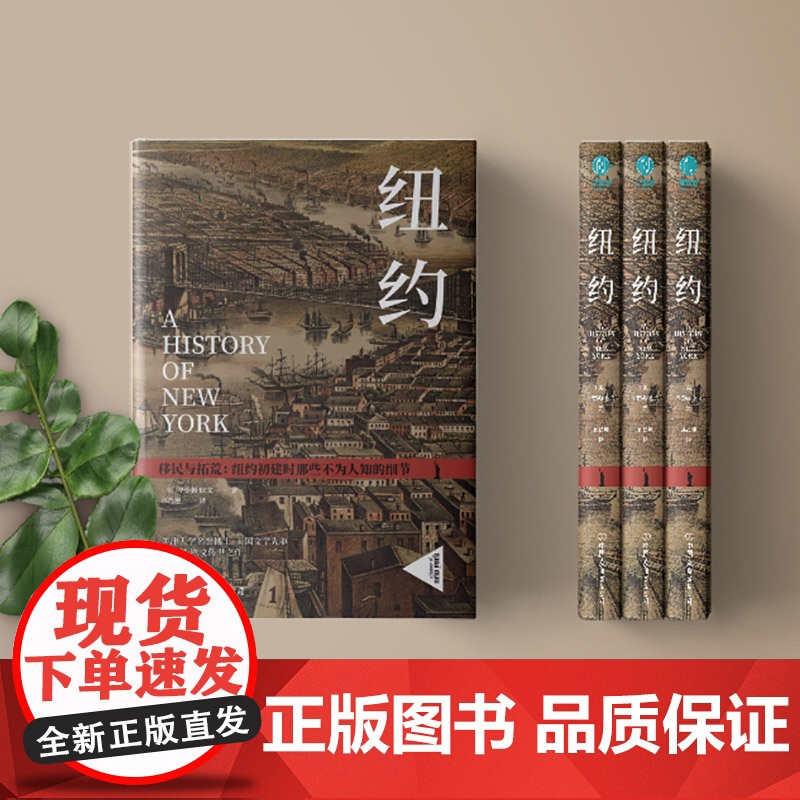 纽约:纽约初建时那些不为人知的细节高清大图