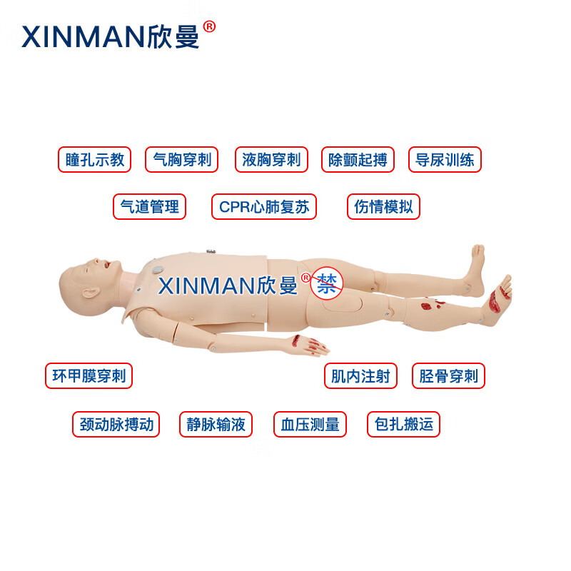 欣曼科教 战创伤急救技术综合训练模拟人XM-ACLS8000D高清大图