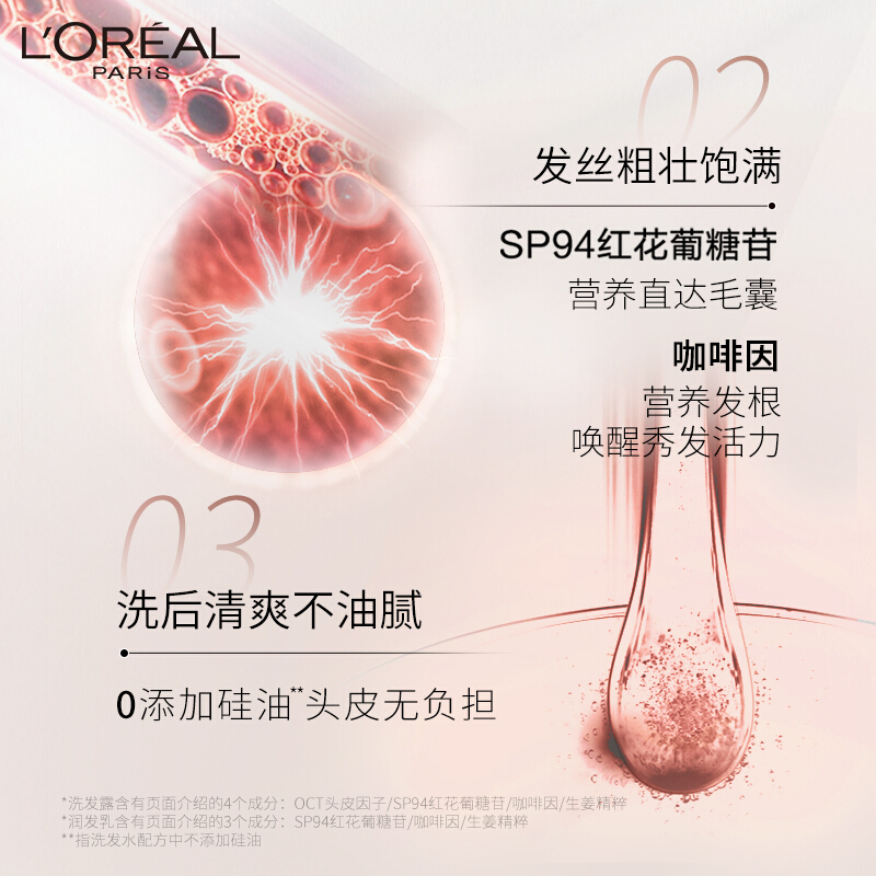 欧莱雅生姜洗发水 强韧柔顺洗发露440ml 强韧丰盈柔顺洗发露深层清洁头皮无硅油控油平衡温和去屑防断发 (生姜精粹)