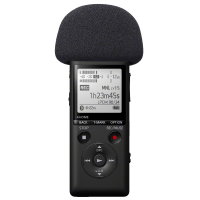 索尼录音笔PCM-A10专业数码录音棒高清降噪远程摇控录音器