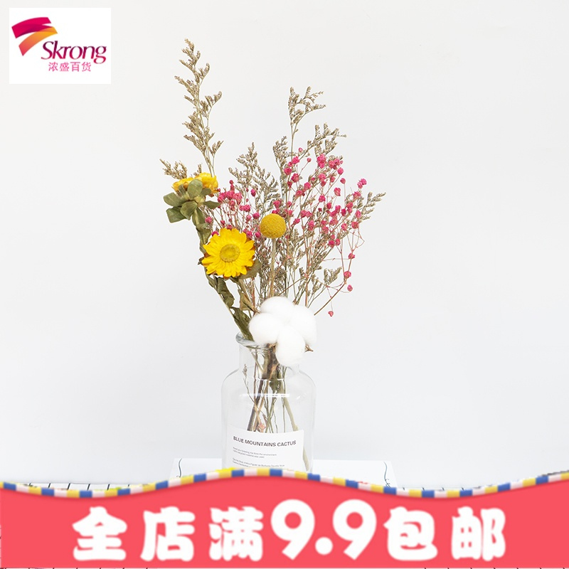 ins风透明玻璃花瓶北欧创意清新欧式简约客厅干花插花摆件玻璃小