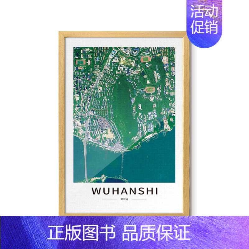 [43*63cm]武汉 [正版]北斗卫星影像图框挂画 客厅卧室办公室墙面装饰框画图 沙发背景墙壁画 武汉市天山雅鲁藏布大