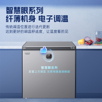 澳柯玛BC/BD-200DSNE零下40度家用冷柜冷冻冷藏冰柜一级减霜节能省电