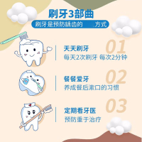 Sanita莎卡进口儿童果味牙膏75g含低氟6~12岁 草莓味75g