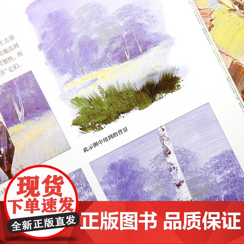 从零开始画丙烯画 配视频 西方绘画技法经典教程 风景丙烯画技法分步教学创意方法 基础教学步骤详解临摹 上海书画出版社高清大图