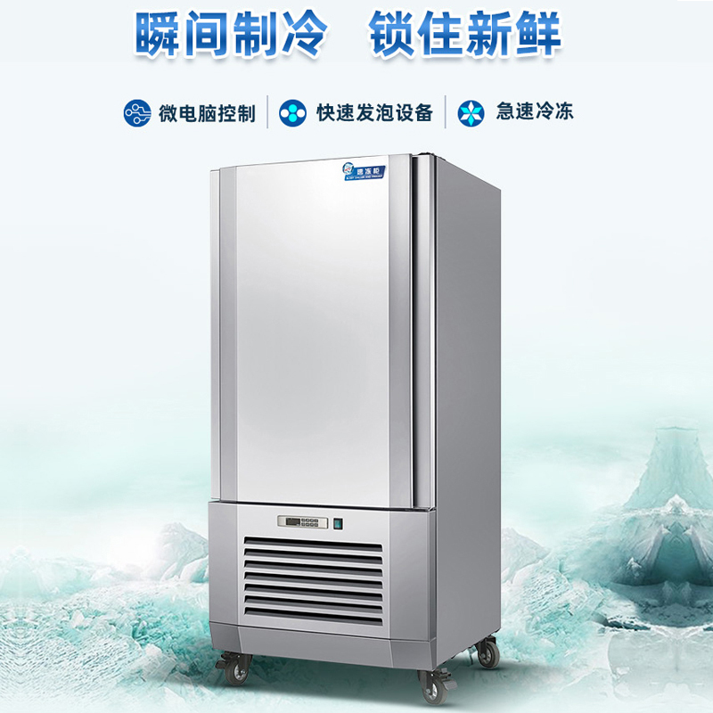 速冻柜(20KG)商用零下40度低温急冻冷冻柜冰柜包子海参慕斯大容量 BCF-20
