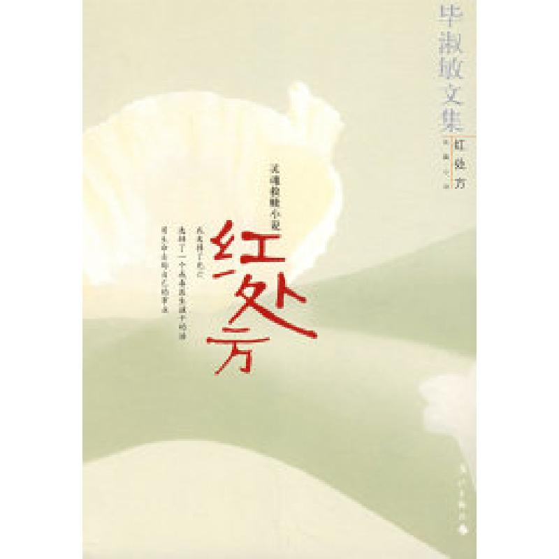 正版新书]红处方:灵魂救赎小说毕淑敏9787540739119高清大图