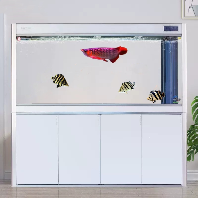 米妮鱼缸大型超白鱼缸客厅小型底滤生态鱼缸新款鱼缸水族箱龙鱼缸