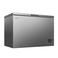 容声冷柜BD/BC-302ZEAM/RX暖灰