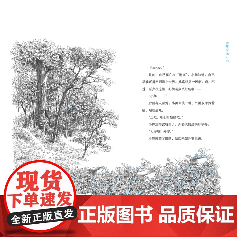 西魔女之死 〔日〕梨木香步/著 (8~14岁)治愈书 治愈文学 植物治愈 心理疗愈 祖孙亲情 成长小说 魔法象 广西高清大图