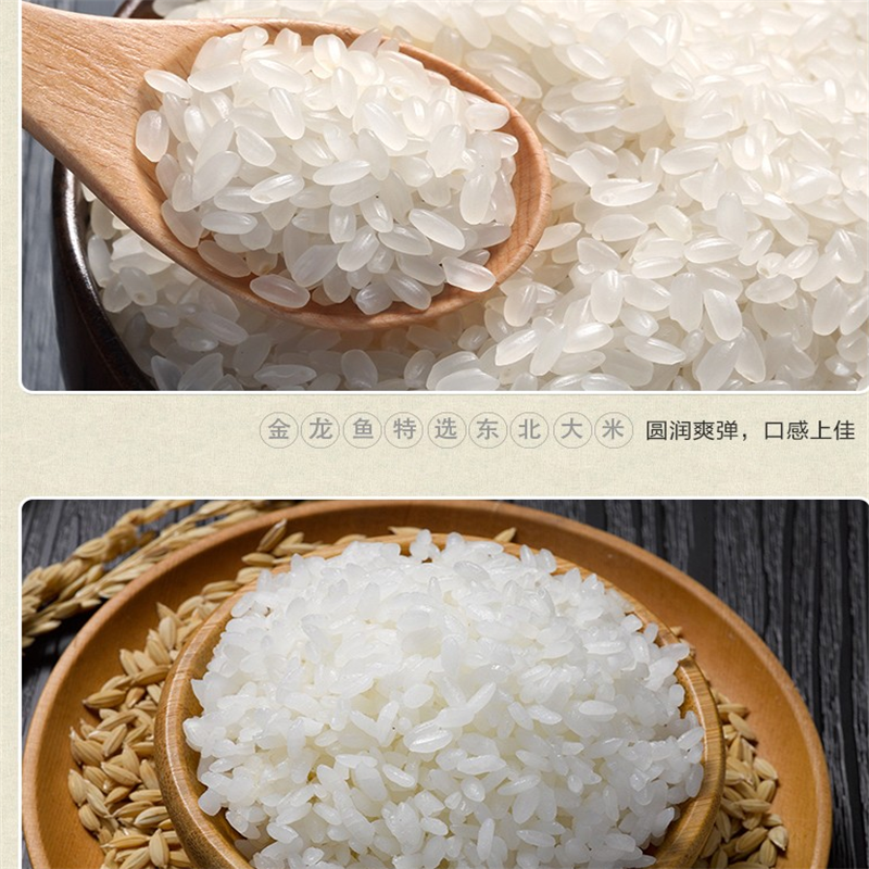 金龙鱼大米 特选东北大米 圆粒新米 嚼劲大米 10斤家庭装 5KG