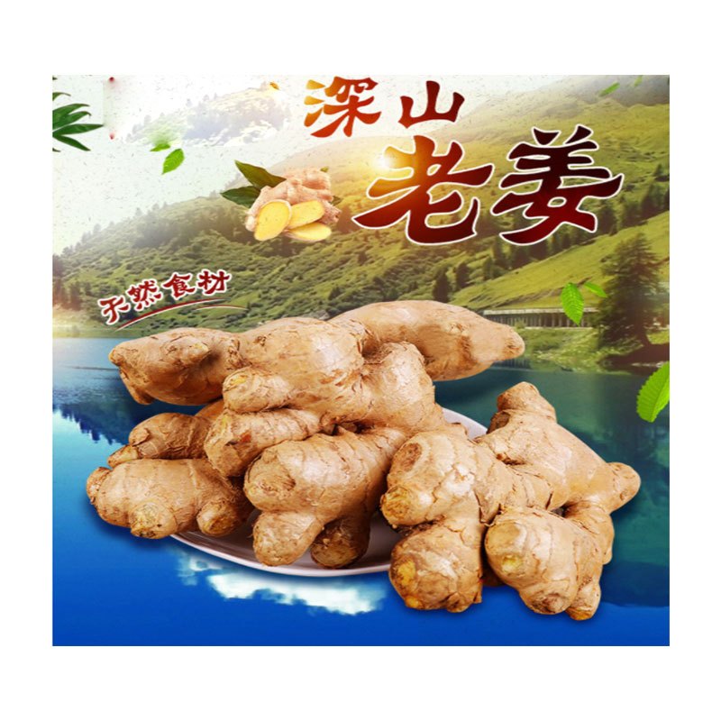 胡成(HUCHENG) 农家生姜 500g