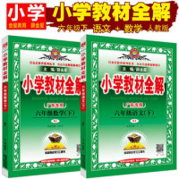2019春 金星教育薛金星 小学教材全解六年级下册 语文数学 人教版RJ 广东专用 全套2册 小学6年级下教材全解 教材