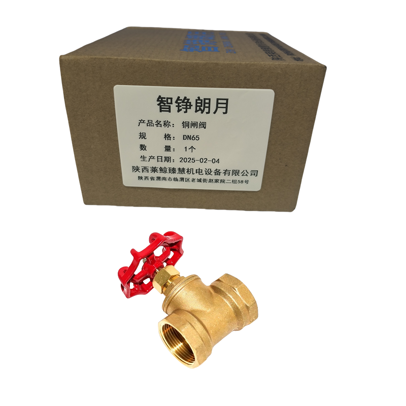 智铮朗月 铜闸阀 DN65 个高清大图