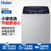 海尔(Haier)EB65M919 6.5公斤 家用全自动小神童波轮洗衣机 小洗衣机 宽水压宽电压设计