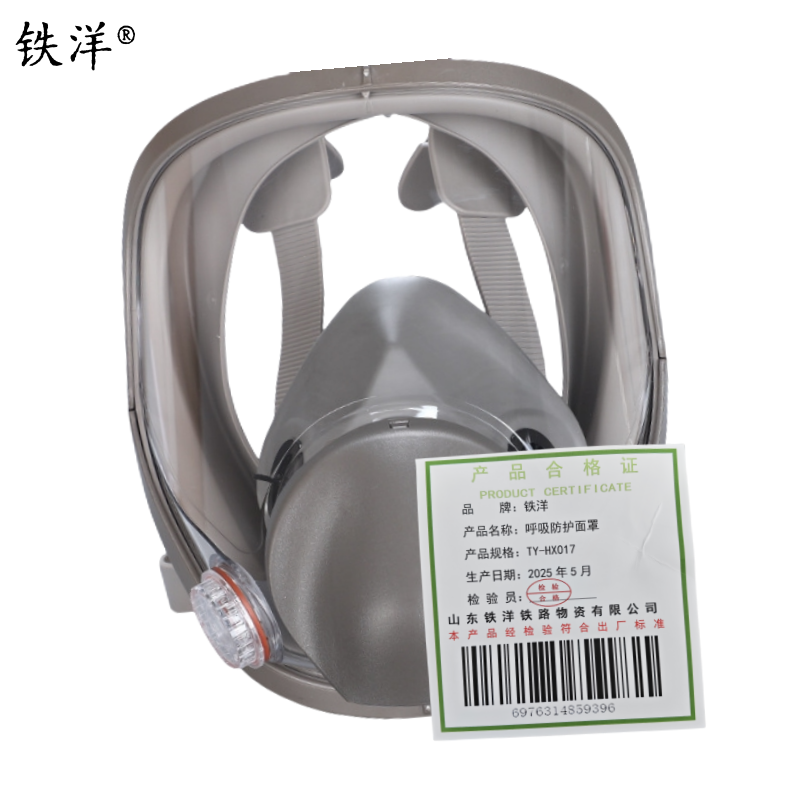 铁洋 呼吸防护面罩 TY-HX017 套高清大图
