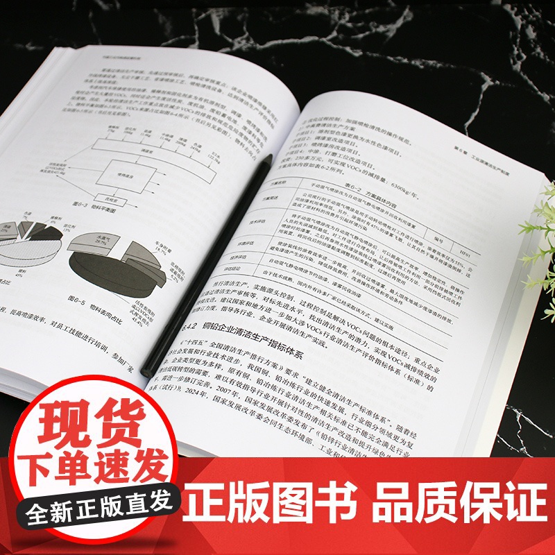 中国工业污染源监管机制 工业污染源控制与管理丛书 工业源的环境监管机制 高等学校环境科学与工程 生态工程及相关专业应用书高清大图