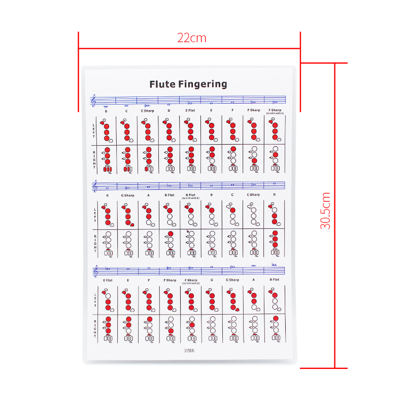 夏奇拉(sheikki) 专业曼陀铃和弦图解 曼陀林指法练习表指板音名图自