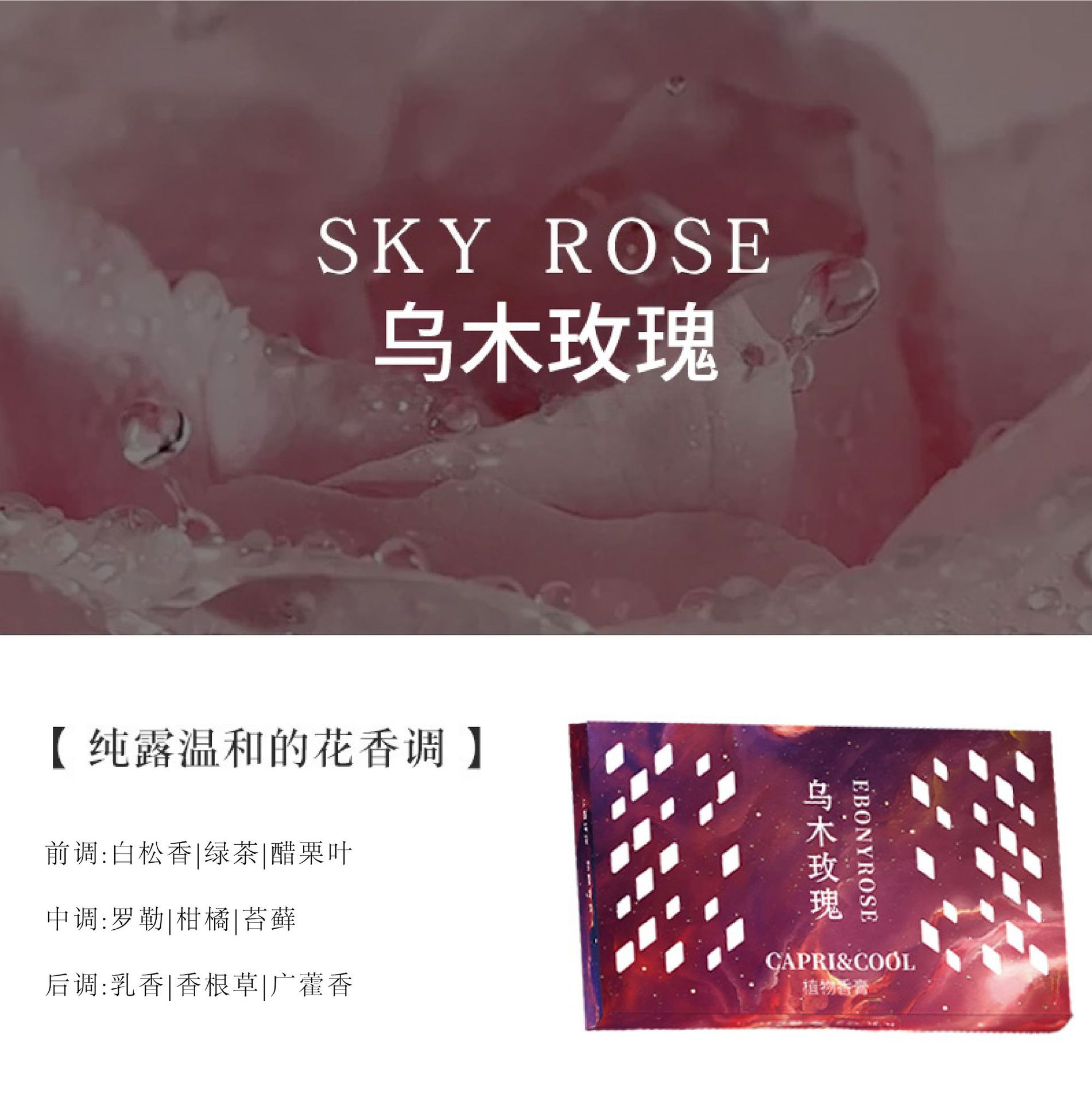 CAPRI&COOL创新隐藏式车载香砖香膏固体汽车香水香薰持久留香香氛摆件 乌木玫瑰