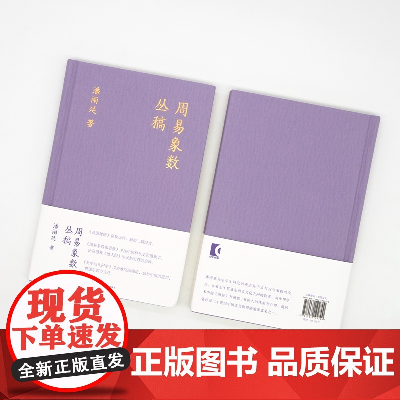 周易象数丛稿 潘雨廷著作集 张文江整理易道履错周易象数与道教易与几何学三书合一上海文艺出版社艺文志中国古典传统文化重要成高清大图