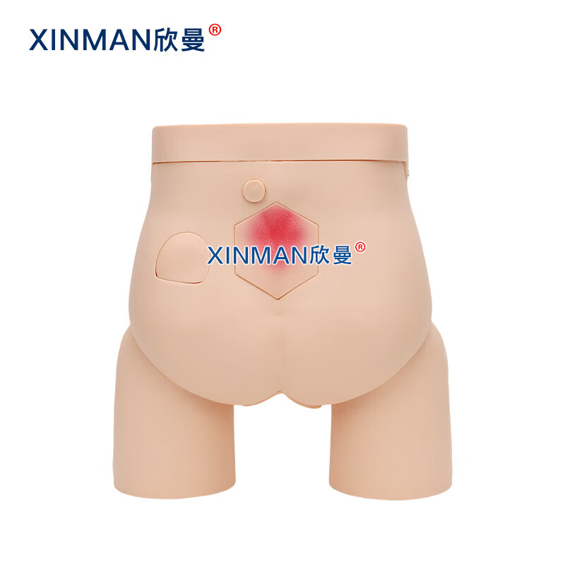 欣曼科教 高级女性导尿操作训练模型 导尿练习模拟人XM-H11高清大图