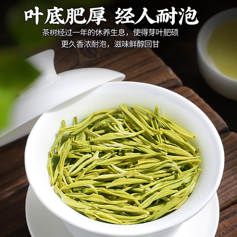 2025特级明前毛尖茶绿茶叶春茶正宗浓香型原产高山嫩芽茶罐装500g