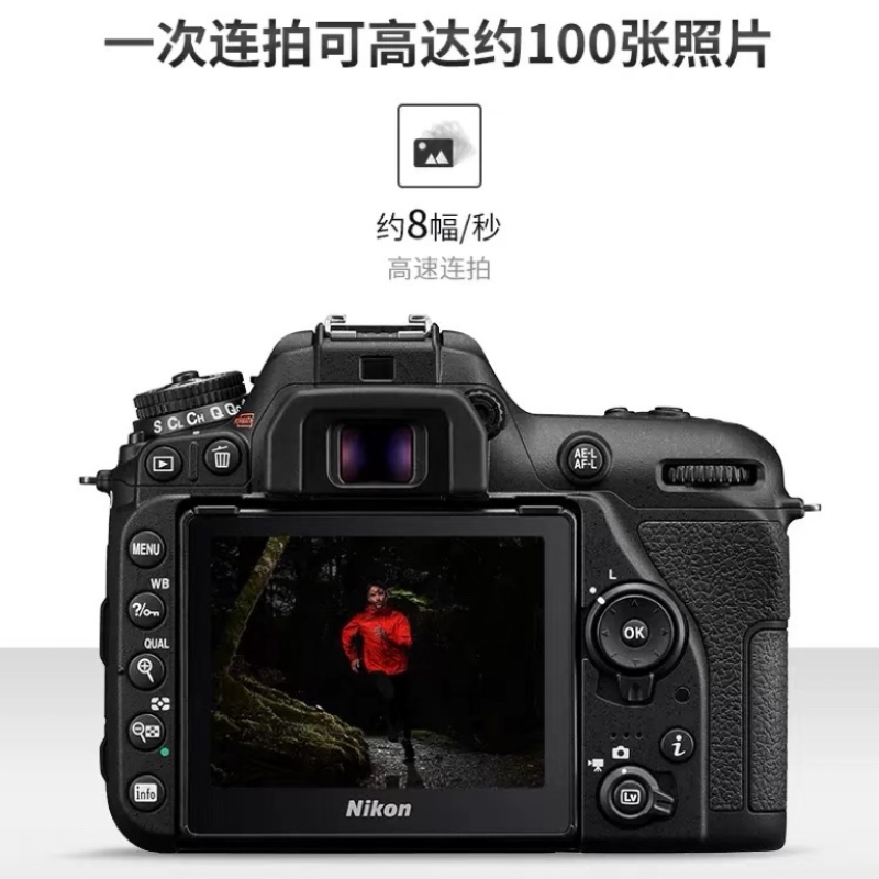[牙科推荐]尼康D7500+105mm f/2.8G微距+永诺YN14EX环闪光灯套装 牙科昆虫植物近距产品细节镜头高清大图