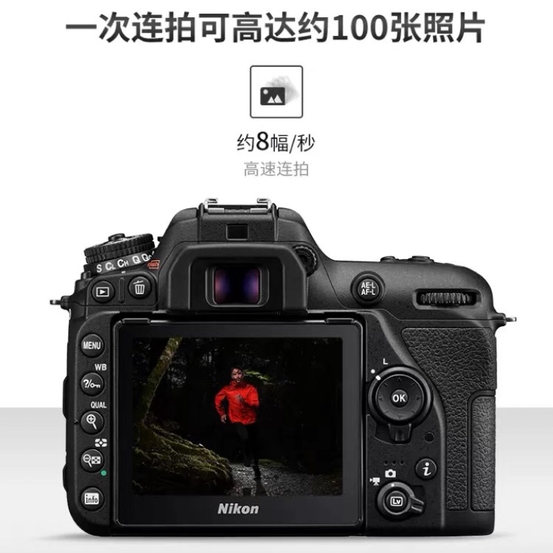 [牙科推荐]尼康D7500+105mm f/2.8G微距+永诺YN14EX环闪光灯套装 牙科昆虫植物近距产品细节镜头